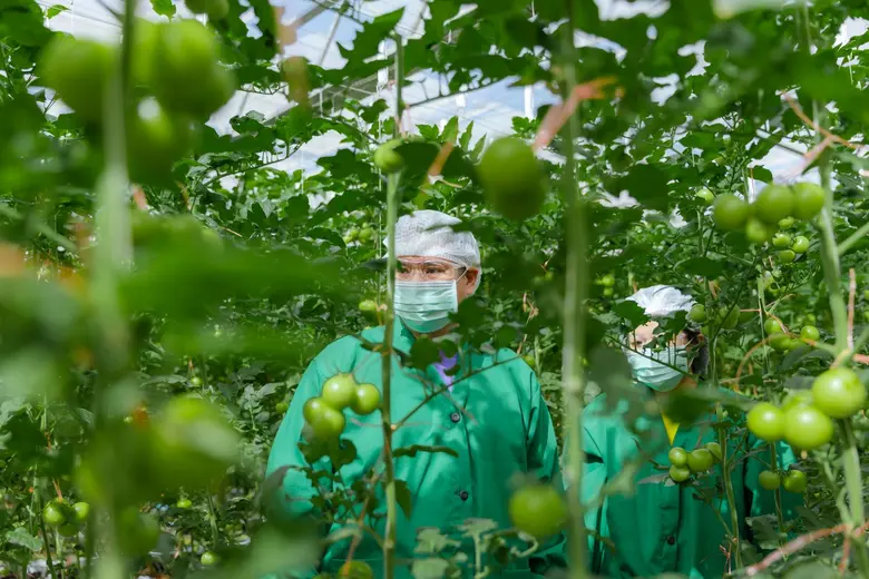 กรมวิชาการเกษตรดึง สมาคมการค้าเมล็ดพันธุ์...