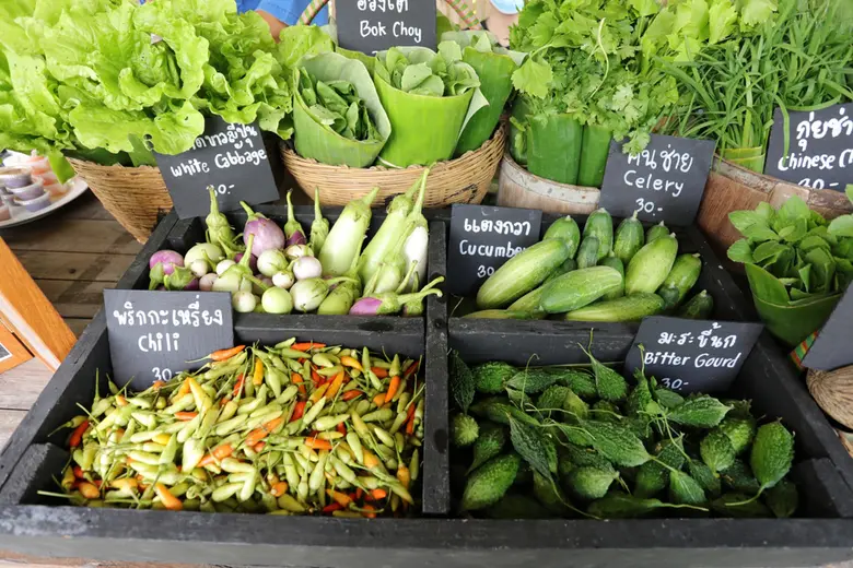 มูลนิธิสังคมสุขใจ ผนึกเครือข่ายเร่งขับเคลื่อนสังคมอินทรีย์ ตอบโจทย์ "BCG Economy Model" พร้อมชวนเที่ยวงาน "สังคมสุขใจ ครั้งที่ 8" รวมพลังคนอินทรีย์ครั้งใหญ่แห่งปี !!