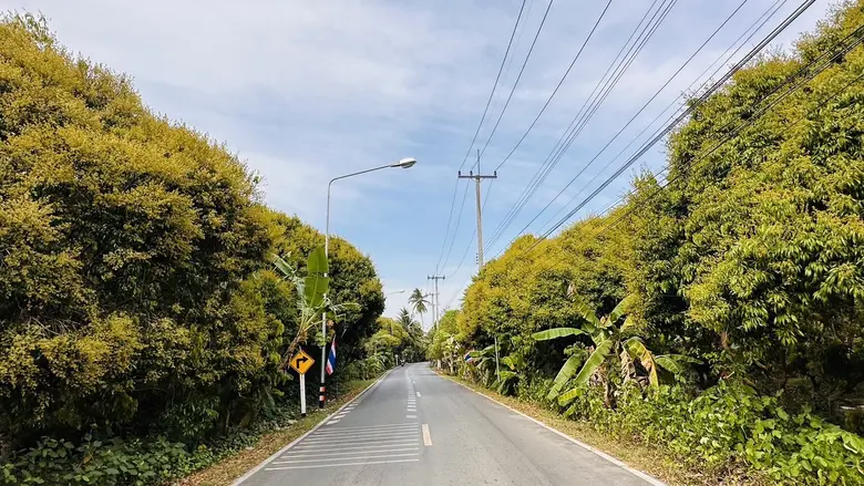 วว. ยกระดับเศรษฐกิจฐานรากจังหวัดสมุทรสงครามด้วย วทน. พัฒนานวัตกรรมเพิ่มผลผลิต/คุณภาพ "ลิ้นจี่พันธุ์ค่อม"