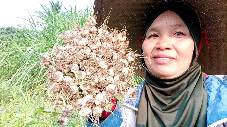 ถึงคิว"กระเทียมปาย"สุดยอดกระเทียมไทย ใช้"อมก๋อย โมเดล"กระจายของดีแม่ฮ่องสอน