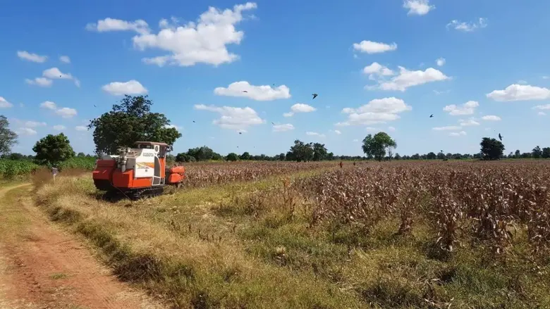 บริษัท เจริญโภคภัณฑ์อาหาร จำกัด (มหาชน) หรือ ซีพีเอ...