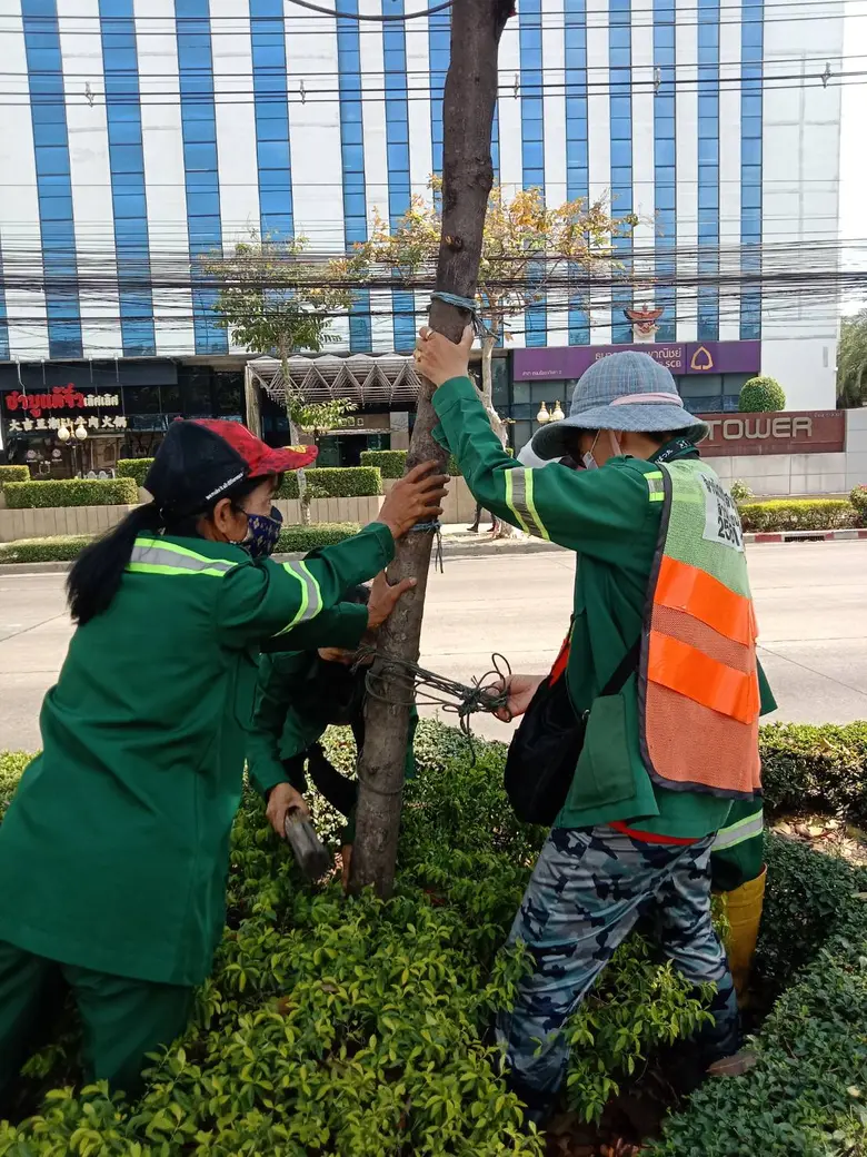 นายสุราษฎร์ เจริญชัยสกุล ผู้อำนวยการสำนัก...