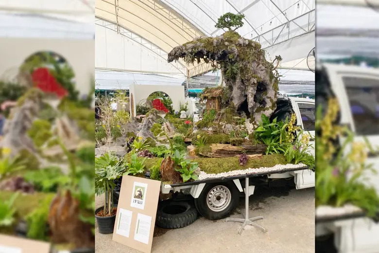 วิทยาลัยดุสิตธานี หนึ่งในสถาบันการศึกษาเอ...