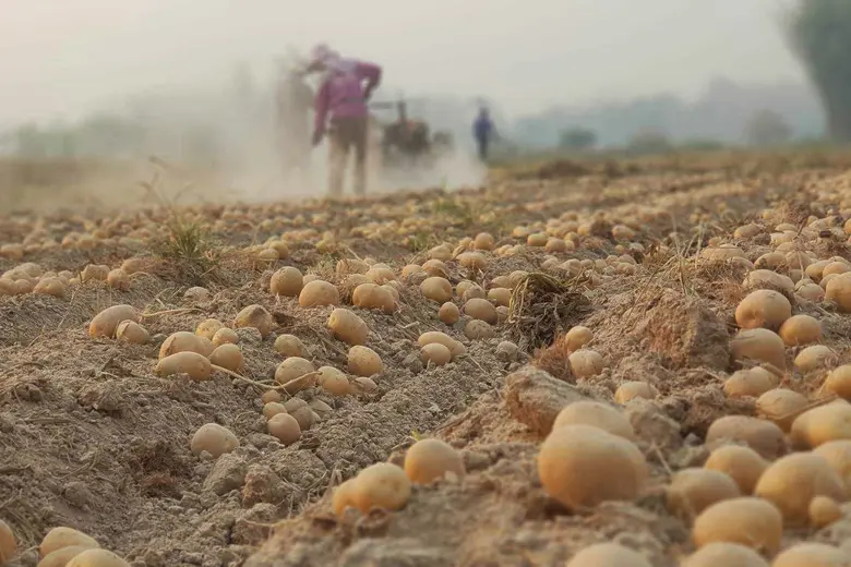 นายระพีภัทร์ จันทรศรีวงศ์ อธิบดีกรมวิชากา...