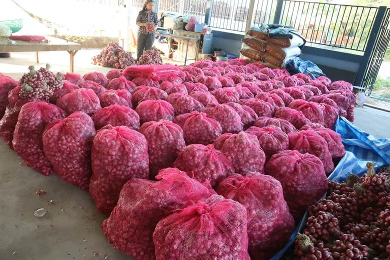 "พาณิชย์" ปิดจ๊อบโค้งสุดท้ายหอมแดงศรีสะเกษปี"66 ดันราคาดีกว่าปีที่แล้ว