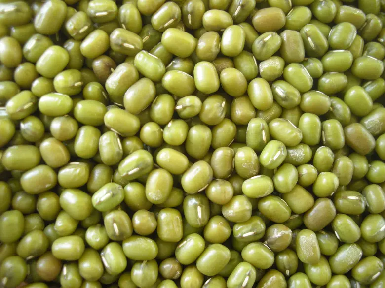 กรมวิชาการเกษตรขานรับนโยบาย "มนัญญา" ขับเคลื่อนแปลงเรียนรู้เกษตรอัจฉริยะผลิตถั่วเขียว มุ่งการเกษตรทำน้อยได้มาก