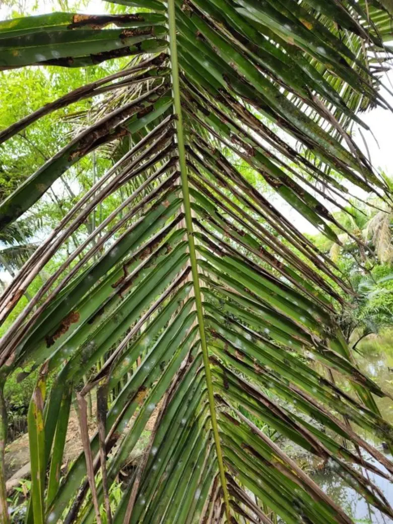 เมื่อวันที่ 1 มีนาคม 2566 นายสังวรณ์ เสนะ...