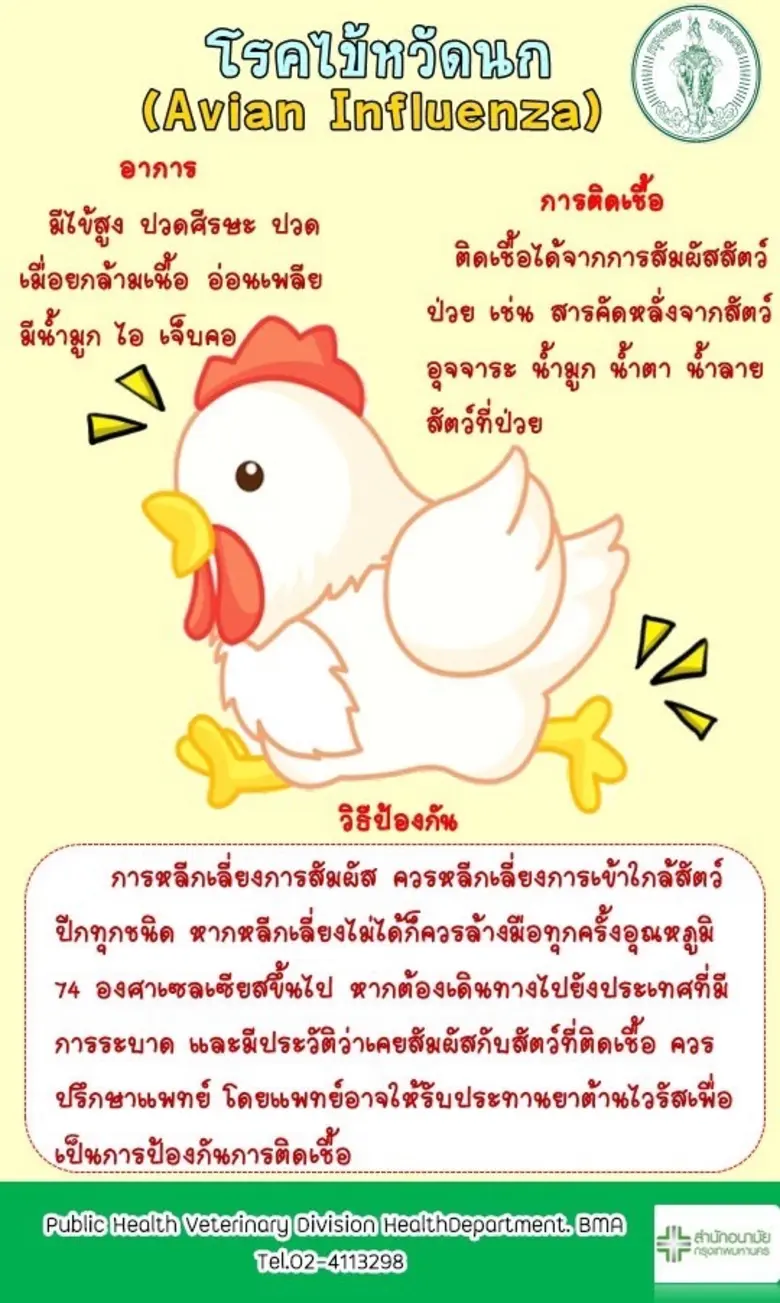 กทม.เฝ้าระวังการแพร่ระบาดโรคไข้หวัดนก สุ่มตรวจหาเชื้อในกลุ่มผู้เลี้ยงไก่ - ซุ้มไก่ชนต่อเนื่อง