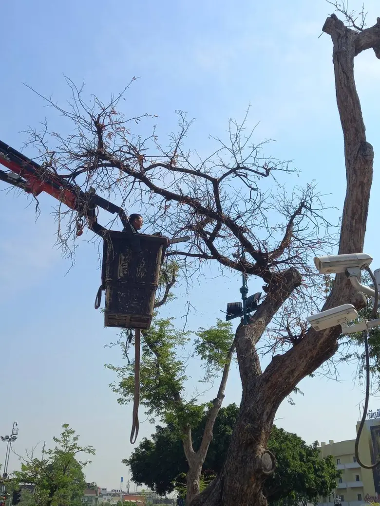 นายประพาส เหลืองศิรินภา ผู้อำนวยการสำนักส...