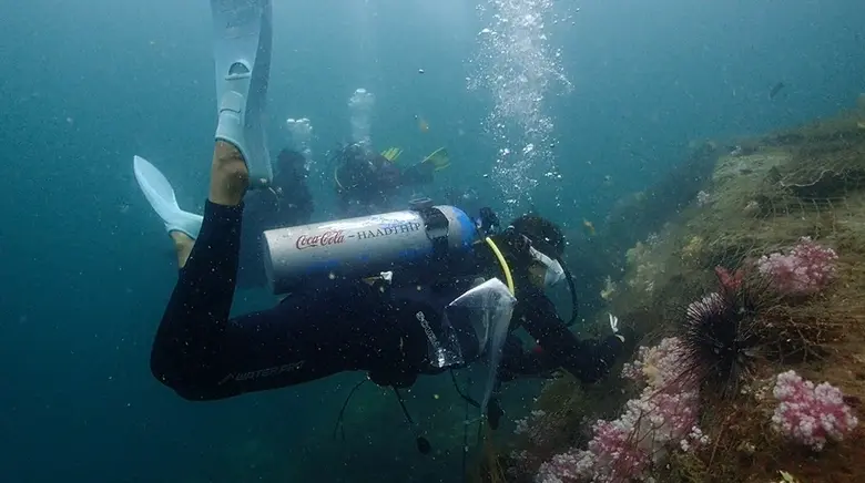 บริษัท หาดทิพย์ จำกัด (มหาชน) จัดโครงการอ...