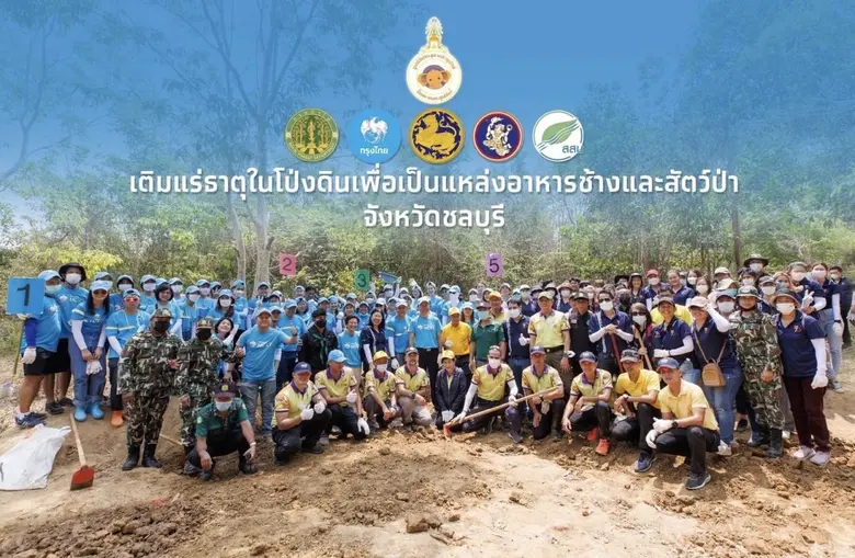 ธนาคารกรุงไทย ร่วมกับ ทิพยประกันภัย ห่วงใ...