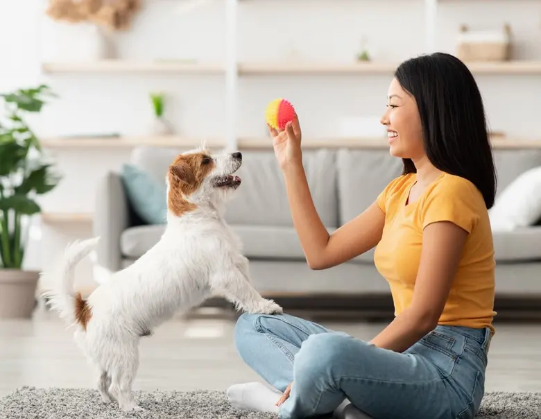 ชวนสร้างสรรค์แต่งบ้านสวย เพื่อสมาชิกสี่ขา สไตล์ยิปซัมตราช้าง