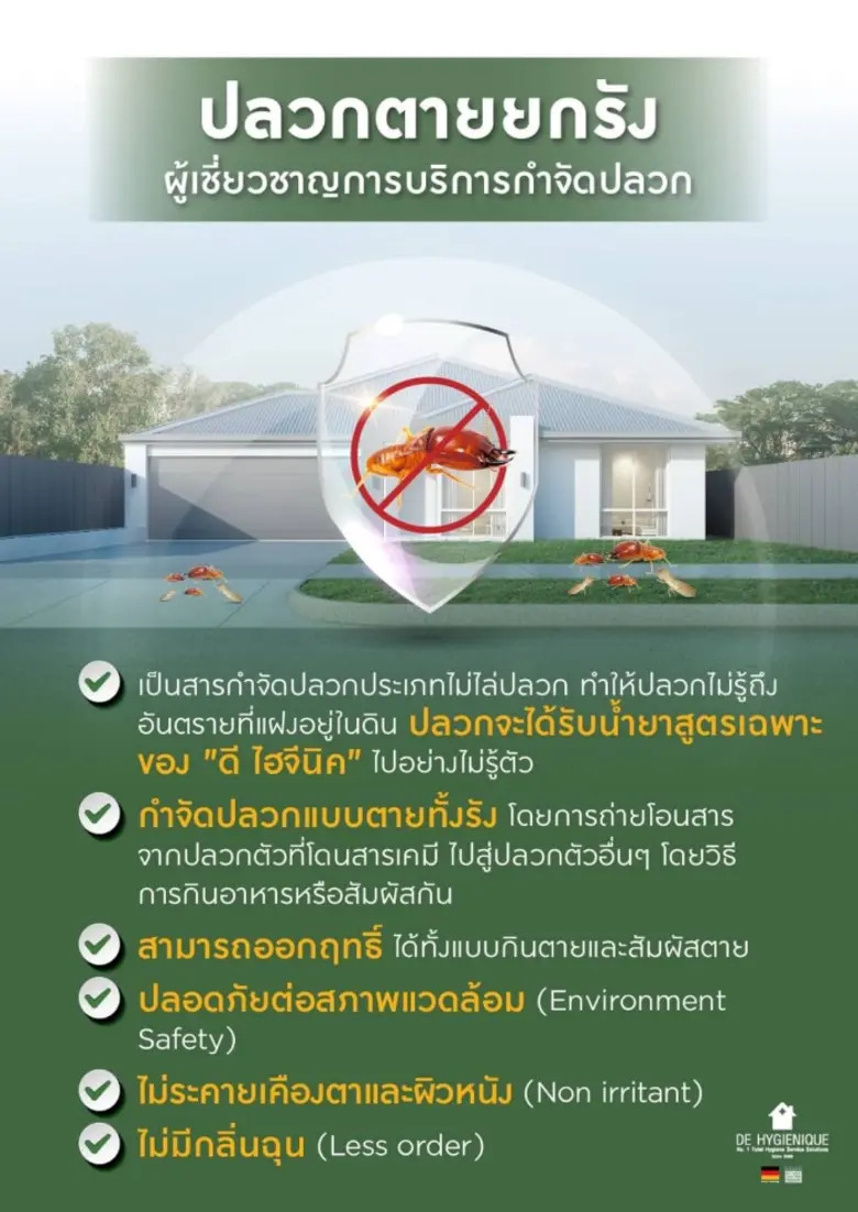 บริษัท ดี ไฮจีนิค ได้ขยายงานบริการครอบคลุ...