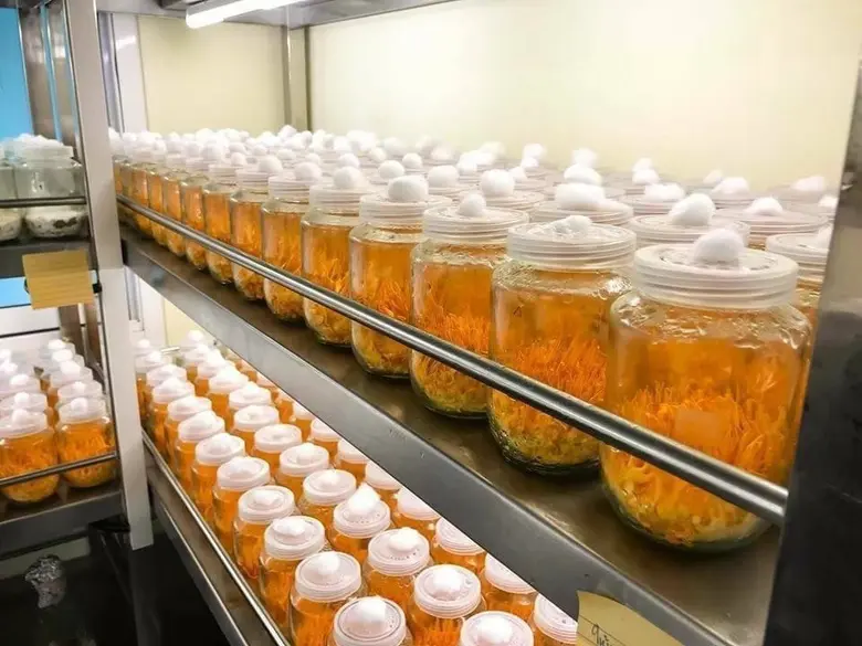 สำนักงานการวิจัยแห่งชาติ (วช.) กระทรวงการ...