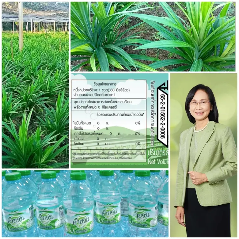 กระทรวงการอุดมศึกษา วิทยาศาสตร์ วิจัยและน...