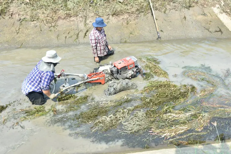 วช. ชป. และ วว. ร่วมคิดค้นนวัตกรรมกำจัดวัชพืชใต้น้ำและวัสดุคอมพอสิต เพื่อประสิทธิภาพคลองส่งน้ำ เตรียมรับภัยแล้ง