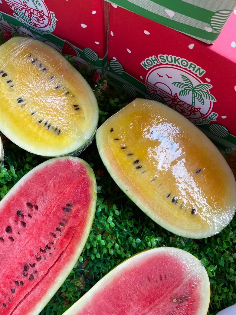 วช. ลงพื้นที่ตรวจเยี่ยมการดำเนินงานแผนงาน การยกระดับห่วงโซ่คุณค่าการผลิตแตงโมเพื่อพัฒนาเศรษฐกิจฐานรากในชุมชน ตำบลเกาะสุกร อำเภอปะเหลียน จังหวัดตรัง