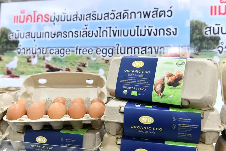 'แม็คโคร' เดินหน้าส่งเสริมสวัสดิภาพสัตว์ จับมือพันธมิตรผลิตไข่ไก่จากแม่ไก่อารมณ์ดี ตั้งเป้าขยายการรับซื้อ-จำหน่าย ในราคาที่เอื้อมถึงได้
