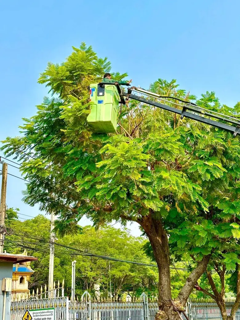 นายสุราษฎร์ เจริญชัยสกุล ผู้อำนวยการสำนัก...