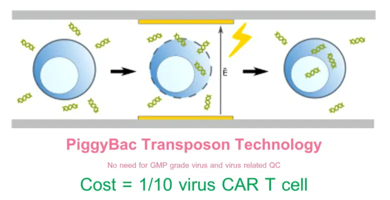 จุฬาฯ แถลงความก้าวหน้านวัตกรรม "เซลล์บำบัดมะเร็ง CAR-T cell" โอกาสใหม่ของผู้ป่วยมะเร็งของไทย โดยศูนย์ความเป็นเลิศด้านภูมิคุ้มกันบำบัดมะเร็ง คณะแพทยศาสตร์ จุฬาฯ