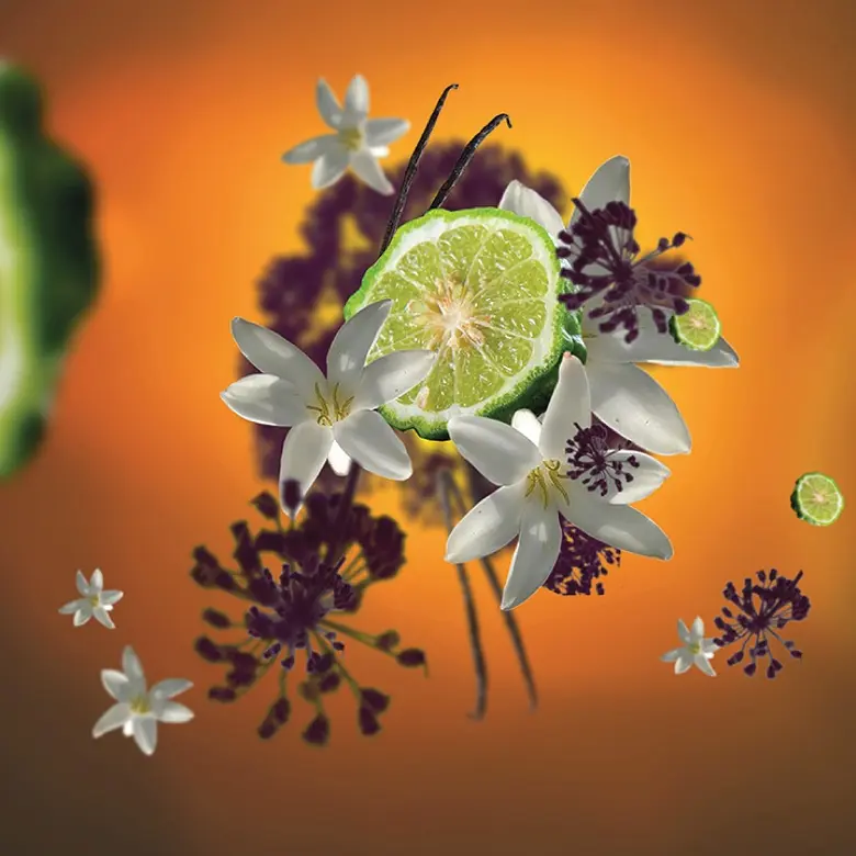 เมซอง แบร์เช่ ปารีส เสิร์ฟความหอมรับหน้าร้อนให้ทุกมุมบ้านสดชื่น ด้วยน้ำหอมสำหรับเติมตะเกียงสุดพิเศษ 4 กลิ่น