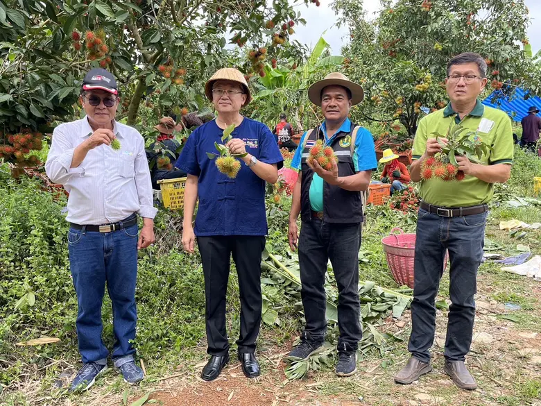 กรมวิชาการเกษตร ย้ำ! เกษตรกร ไม่ใช้สารเร่งสุกหรือเร่งสีผลเงาะ เตือน หากใช้ไม่ถูกวิธีผลผลิตไม่ได้คุณภาพ ส่งผลกระทบระบบตลาด