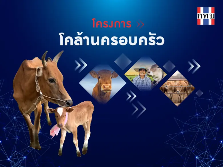 "อนุชา" เดินหน้าผลักดันเศรษฐกิจฐานรากเปิดโครงการ "โคล้านครอบครัว" หวังให้สมาชิกกองทุนฯ มีรายได้ และมีความมั่นคงในครอบครัว