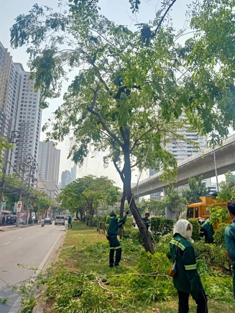 นายประพาส เหลืองศิรินภา ผู้อำนวยการสำนักส...