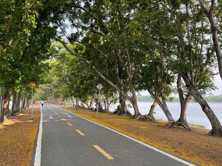 พฤกษา เปิดตัวงานวิ่งการกุศลแห่งปี "PRUKSA...