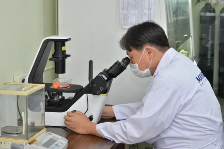 ม.มหิดลคิดค้นวัคซีนป้องกันไข้ซิกาสายพันธุ์เอเชีย หวังต่อยอดผลิตพร้อมใช้