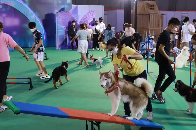 นับถอยหลังพบกับงานแฟร์สัตว์เลี้ยงแห่งปี "PET Expo Thailand 2023" ที่ไม่ได้มีแค่สินค้าบริการ แต่เต็มไปด้วยความอบอุ่นและมิตรภาพ