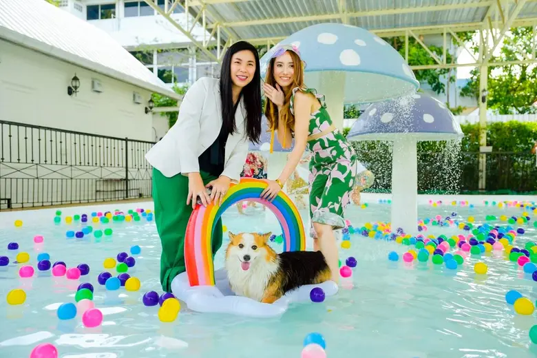 เมเจอร์ ดีเวลลอปเม้นท์ เปิดปาร์ตี้ ชวนน้องหมาเล่นน้ำคลายเครียด MAJOR SUMMER DOG PAWTY