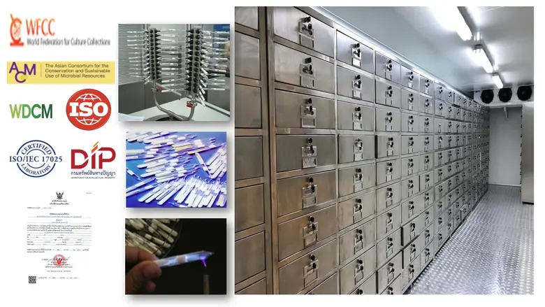 วว. ร่วมหารือ Korean Collection for Type Culture ด้านงานวิจัยจุลินทรีย์ เพื่อต่อยอดการใช้ประโยชน์จากทรัพยากรชีวภาพ