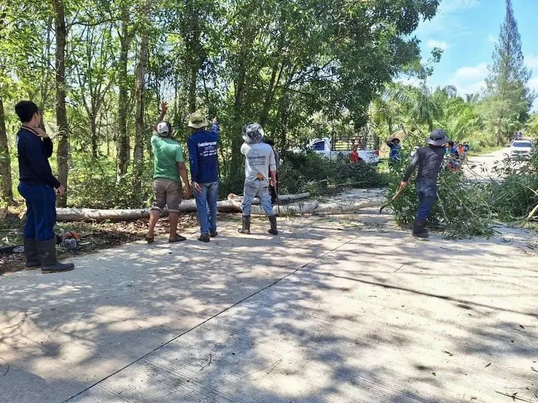 PPPGC ผนึกกำลังชาวชุมชน หมู่ที่ 3 บ้านช้างแรกปรับปรุงภูมิทัศน์ถนนสาธารณะ เพื่อความสวยงาม-ปลอดภัย