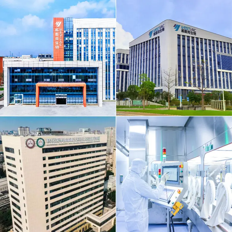 ครั้งแรกของโลก: วัคซีนโควิด-19 หลายสายพันธุ์ชนิดตัดต่อโปรตีนป้องกันสายพันธุ์เอ็กซ์บีบี โดยเวสต์แวค ไบโอฟาร์มา/ศูนย์การแพทย์จีนตะวันตก มหาวิทยาลัยเสฉวน ได้รับอนุมัติจากสำนักงานควบคุมเวชภัณฑ์แห่งชาติจีน เพื่อใช้ในการทดลองทางคลินิก