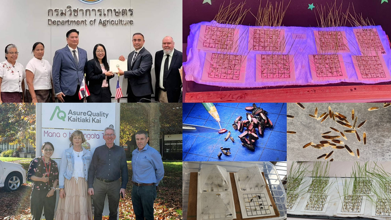 กรมวิชาการเกษตร ต่อยอดเป็นผู้นำการผลิตเมล...