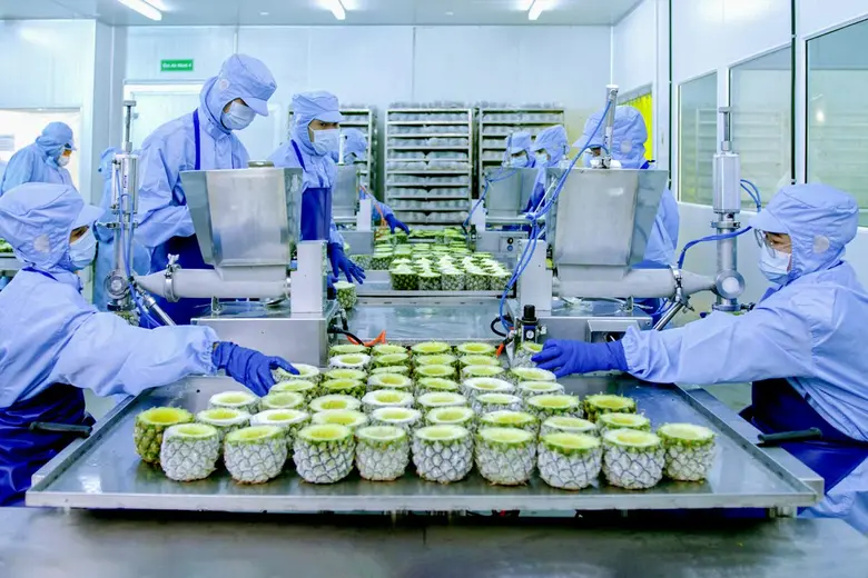 ต่างชาติแห่ออเดอร์ไอศกรีมผลไม้พุ่ง แม็คซ์ฟู๊ด กรุ๊ป ทุ่ม 60 ล้าน ขยายโรงงาน เพิ่มกำลังผลิต พร้อมคุยเกษตรกรเตรียมผลไม้เข้าไลน์ผลิตกว่า 1 หมื่นตัน