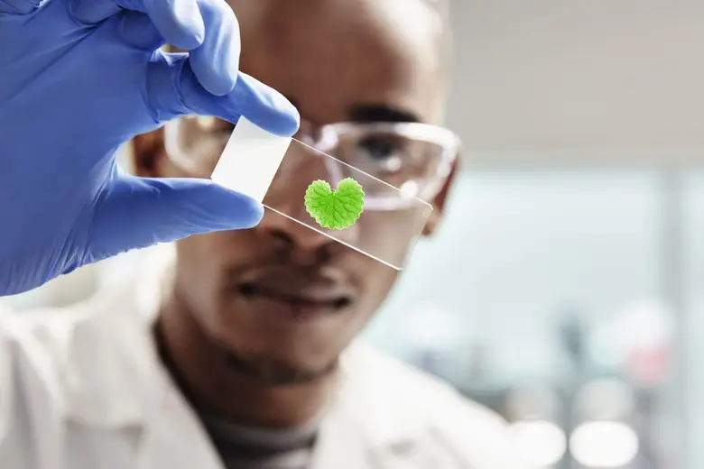 ผลักดันวิทยาศาสตร์เพื่อสิ่งแวดล้อม (Green...