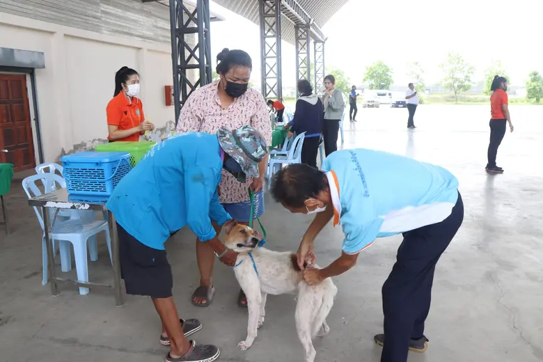 วิทยาลัยเทคโนโลยีทางการแพทย์และสาธารณสุข กาญจนาภิเษก ทำกิจกรรมเพื่อสังคม โครงการสัตว์ปลอดโรค คนปลอดภัย