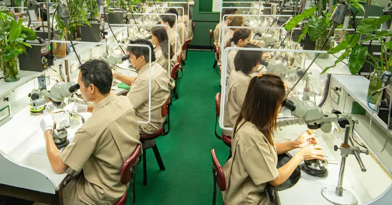 Pranda Group ชูความแกร่งฐานการผลิตเครื่องประดับ เจาะกลุ่มลูกค้า Accessible Luxury Jewelry Brand