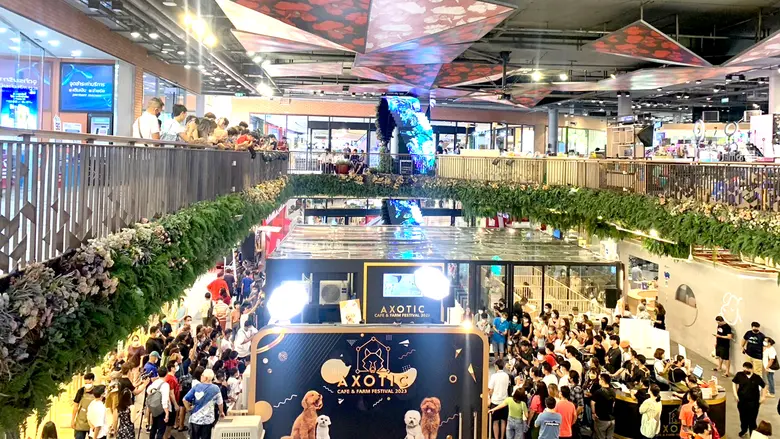 Axotic Cafe &amp; Farm ทุ่มงบ 20 ล้านบาท เปิดตัวฟาร์มสุนัข "โกลเด้นดูเดิ้ล" ใหญ่ที่สุดในไทย