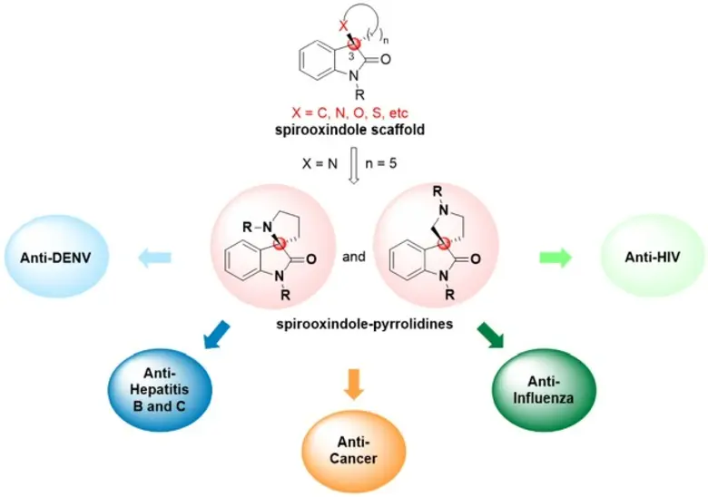 ม.มหิดลวิจัยเพิ่มค่าสารสังเคราะห์ เป้าหมายสู่ยารักษามะเร็ง