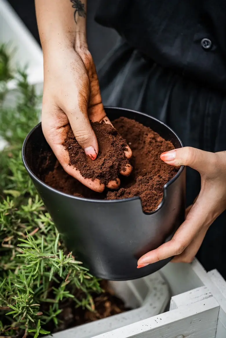 8 ทองหล่อ และโรงแรมมูว์ แบงค์คอก เดินหน้าจัดกิจกกรรมรักษาสิ่งแวดล้อม