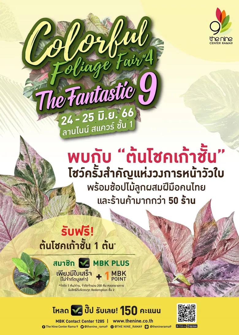 นัดพบคนรักต้นไม้เป็นประจำทุกเดือนสำหรับ เ...