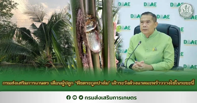 นายเข้มแข็ง ยุติธรรมดำรง อธิบดีกรมส่งเสริ...