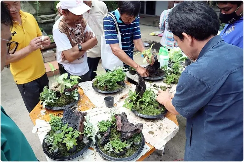 สนพ.แพร่ ดำเนินการปิดการฝึกอบรมและมอบวุฒิบัตรผู้ผ่านการฝึกอบรมโครงการพัฒนาศักยภาพของบุคลากรและผู้ประกอบการในอุตสาหกรรมท่องเที่ยว