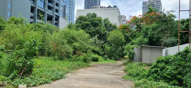 กทม.แจงพัฒนา EIA โครงการก่อสร้างคอนโดฯ ในซอยสุขุมวิท 59 ตามหลักวิชาการและข้อกฎหมาย