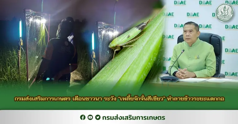 นายเข้มแข็ง ยุติธรรมดำรง อธิบดีกรมส่งเสริ...