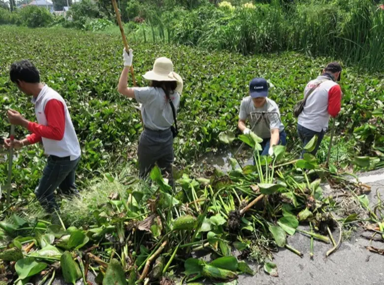 ม.มหิดลวิจัยความหลากหลายทางจุลชีพ สู่การคิดค้นวิธีใหม่กำจัดวัชพืชด้วยธรรมชาติ
