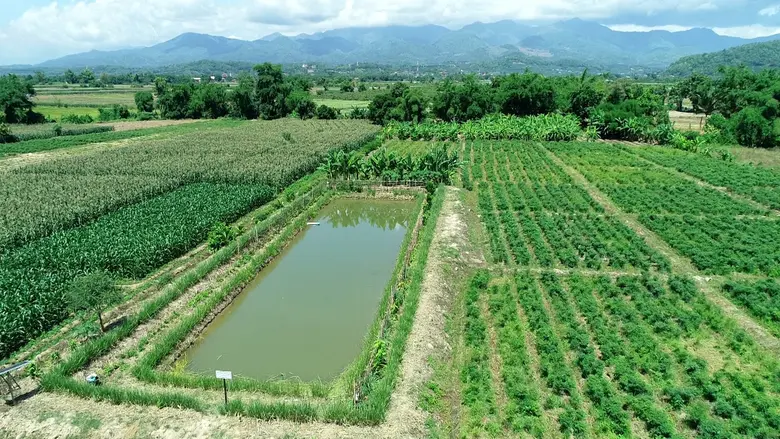 "บ่อจิ๋ว" แหล่งน้ำเพื่อเกษตรกร เพิ่มผลผลิต สร้างรายได้ สู้ภัยแล้ง